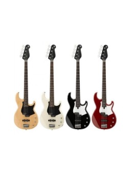 Bass Guitars